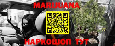 гидропоника Гусиноозёрск