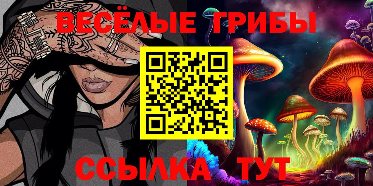 Псилоцибиновые грибы Psilocybe Москва