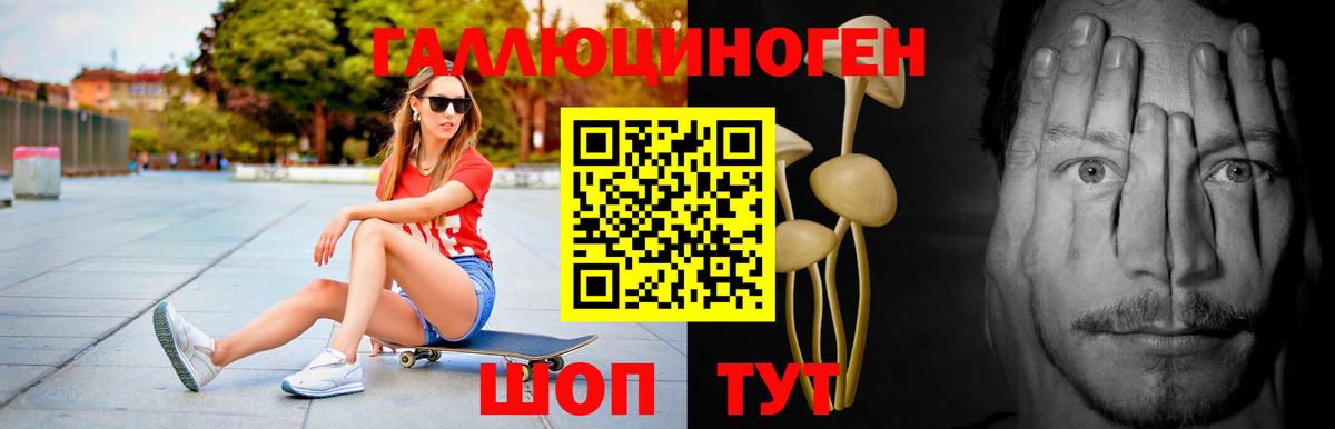 Москва  Галлюциногенные грибы GOLDEN TEACHER  Вход с VPN 